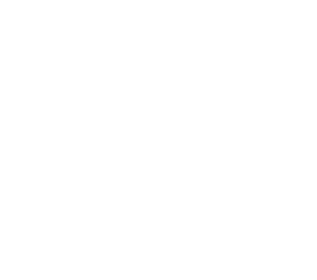 SkyRoute